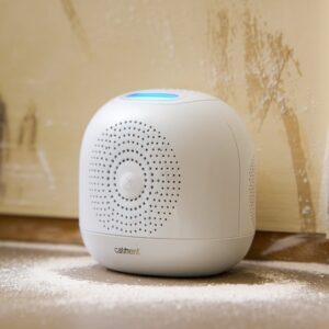 Do Ultrasonic Cat Repellents Work: Myth or Reality?